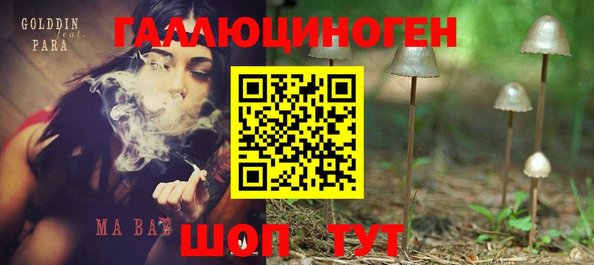 Псилоцибиновые грибы MAGIC MUSHROOMS  Вход с VPN  Калининград  Галлюциногенные грибы Cubensis 
